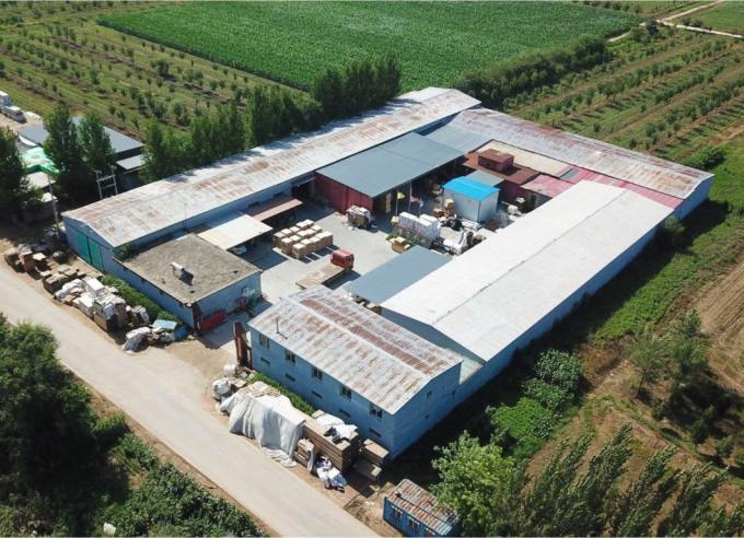 Compressed Fumigation-Free Wood Fiber Eco Friendly Wooden Pallet