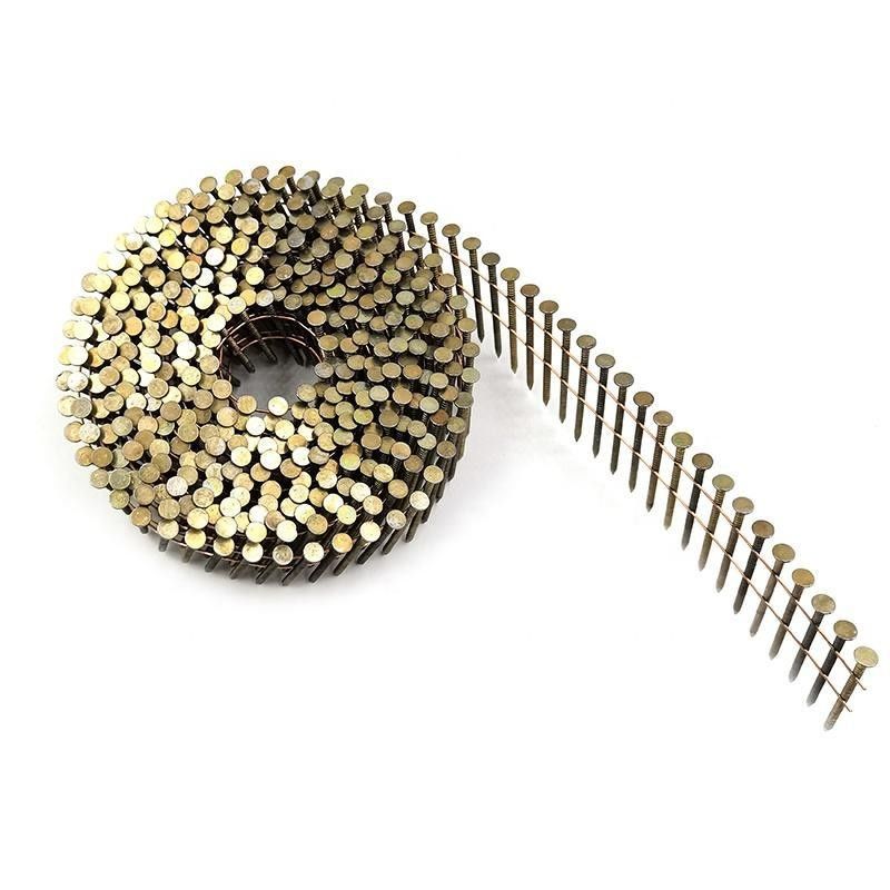 1/4 Drutu Nail Galwanizowany Nail Coil 0.099 & Prime Painted Palet Coil Nail